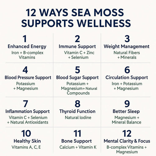 Elderberry Fusion Sea Moss Gel   16oz